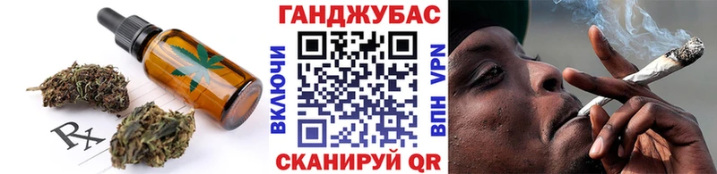 как найти закладки  Новозыбков  Cannafood конопля 