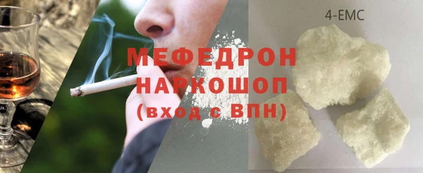гидра Михайловка