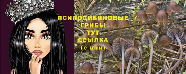 дживик Михайлов