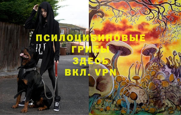 кокаин VHQ Михайловск