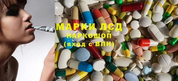 гидра Михайловка