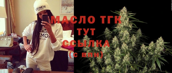 гидра Михайловка