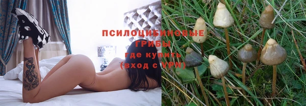 дживик Михайлов
