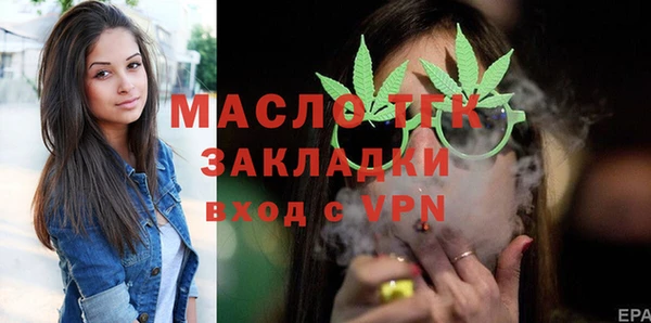 гидра Михайловка