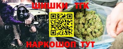 соль ск Камышлов