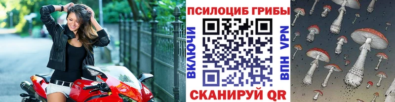 Галлюциногенные грибы Psilocybine cubensis  mega зеркало  Новозыбков 