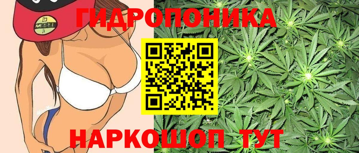 МАРИХУАНА Amnesia  Вход с VPN  Бошки Шишки LSD WEED  Новозыбков  Марихуана THC 21% 
